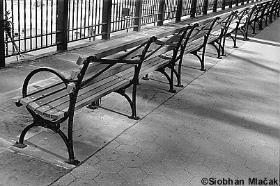 Brooklyn - benches