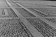 Copenhagen - cobblestone