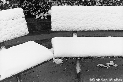 Square dAnvers - bancs sous la neige