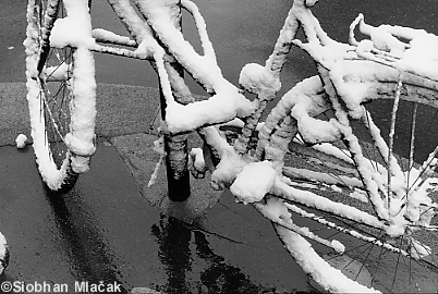 Velo sous la neige