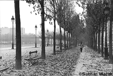 Bassin de la Villette