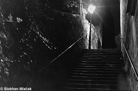 Passage Plantin - stairs