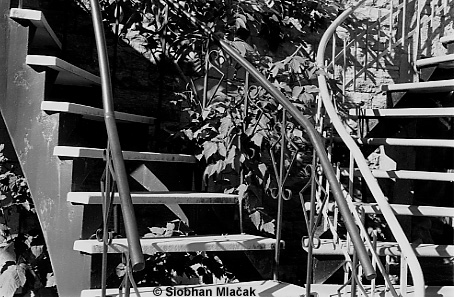 Avenue Laval - staircase