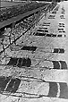 Jardin du Luxembourg - chaises et ombres