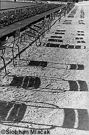 Jardin du Luxembourg - chaises et ombres