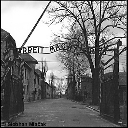 Arbeit Macht Frei