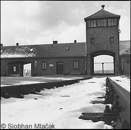 Birkenau