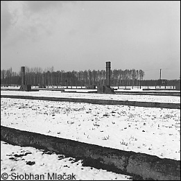 Birkenau Ruins