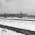 Birkenau Ruins