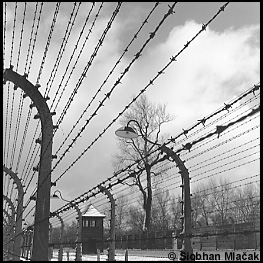 Fence Line and Guardhouse