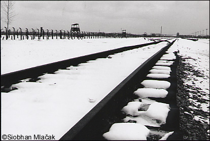 Looking Back Along the Tracks