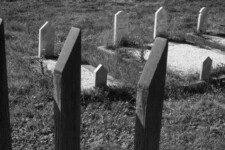 Prekaz - cemetery