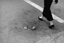 New York - lady
