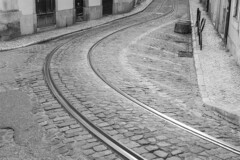 tram tracks and cobblestone
