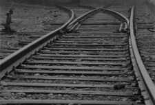 Buchenwald - tracks