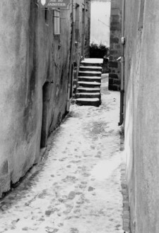 Allée enneigée