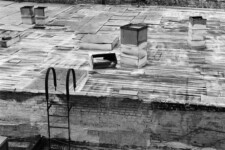The Highline - rooftop