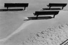 Coney Island - three benches