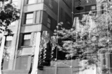 West Village - wine glasses